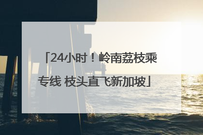 24小时！岭南荔枝乘专线 枝头直飞新加坡