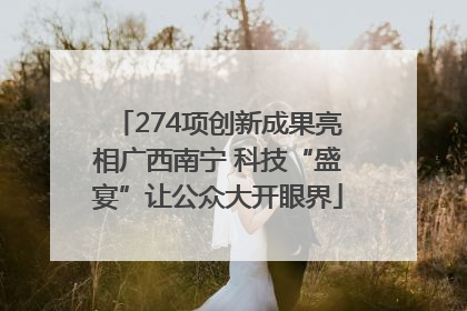 274项创新成果亮相广西南宁 科技“盛宴”让公众大开眼界