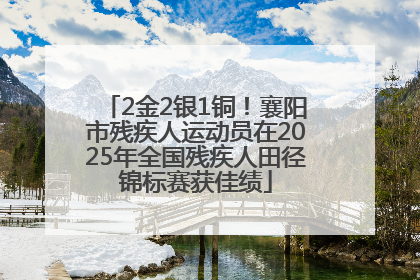 2金2银1铜！襄阳市残疾人运动员在2025年全国残疾人田径锦标赛获佳绩