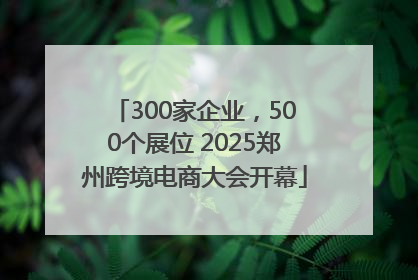 300家企业，500个展位 2025郑州跨境电商大会开幕