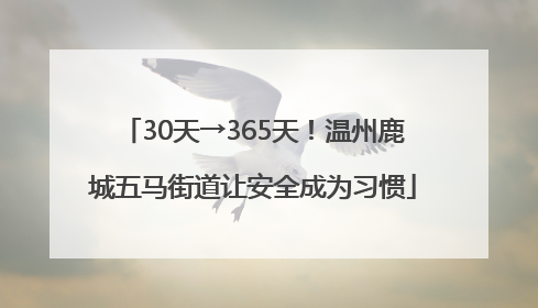 30天→365天！温州鹿城五马街道让安全成为习惯