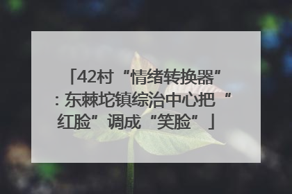 42村“情绪转换器”：东棘坨镇综治中心把“红脸”调成“笑脸”