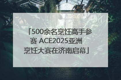 500余名烹饪高手参赛 ACE2025亚洲烹饪大赛在济南启幕