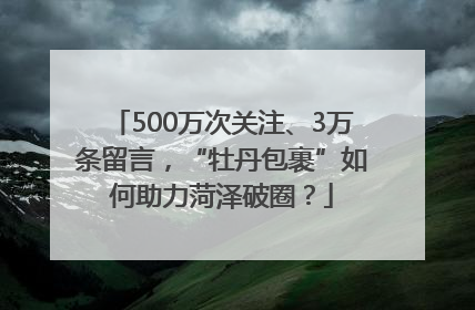 500万次关注、3万条留言，“牡丹包裹”如何助力菏泽破圈？