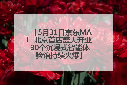 5月31日京东MALL北京首店盛大开业 30个沉浸式智能体验馆持续火爆