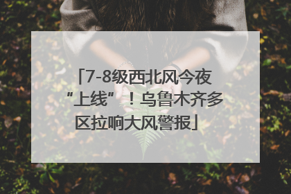 7-8级西北风今夜“上线”！乌鲁木齐多区拉响大风警报