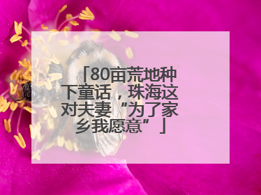80亩荒地种下童话，珠海这对夫妻“为了家乡我愿意”