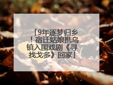 9年逐梦归乡！宿迁姑娘携乌镇入围戏剧《寻找戈多》回家