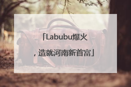 Labubu爆火，造就河南新首富