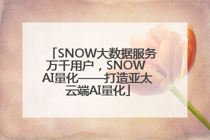 SNOW大数据服务万千用户，SNOW AI量化——打造亚太云端AI量化
