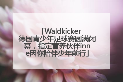 Waldkicker德国青少年足球赛圆满闭幕，指定营养伙伴inne因你陪伴少年前行